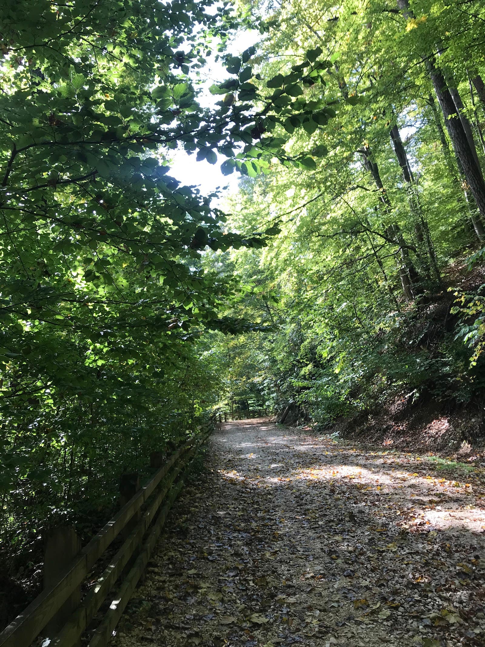 La munte cu copiii: trasee ușoare, cazare și siguranță
