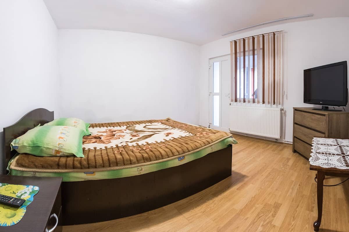 Casa de vacanță Jeny Novaci — 2