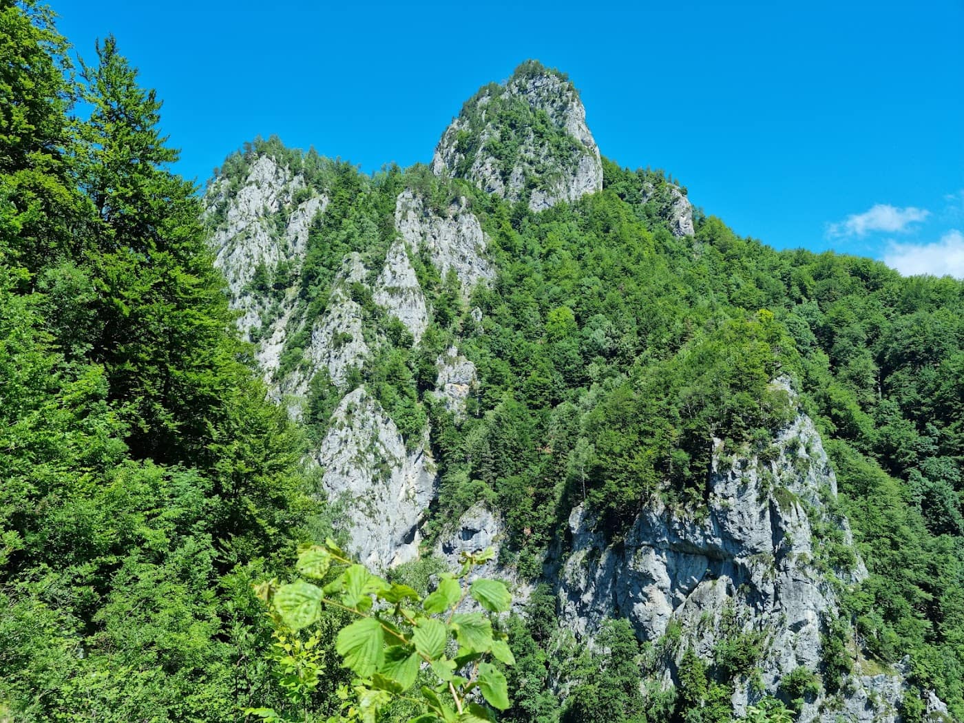 Parcul Național Buila–Vânturarița