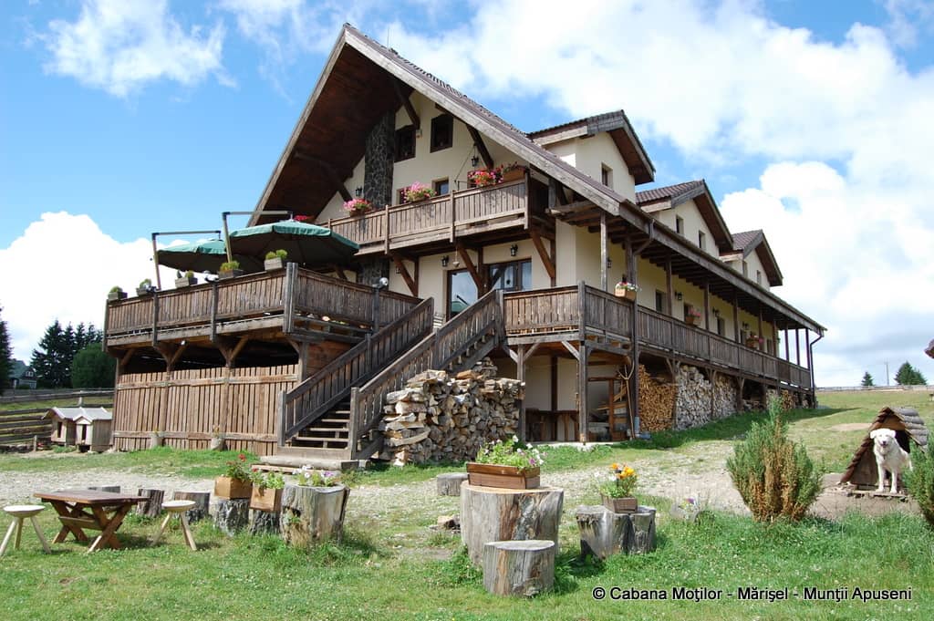 Cabana Moților