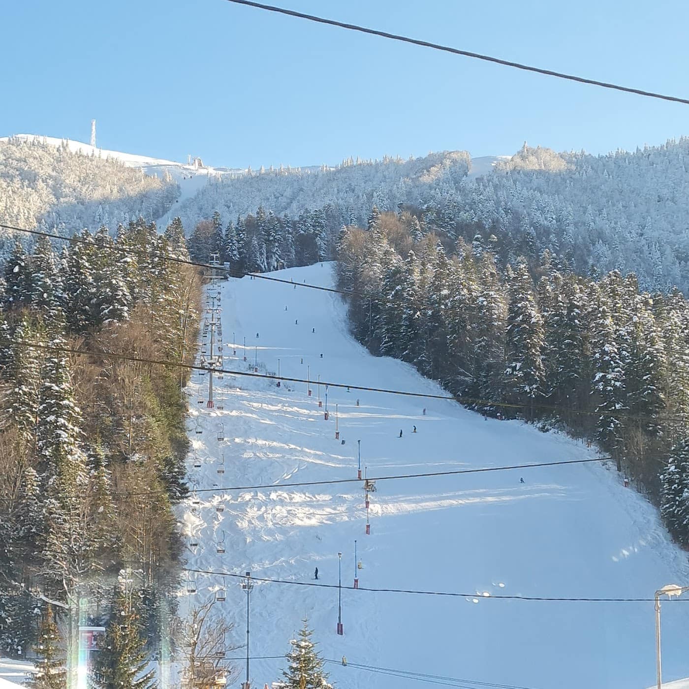 Azuga (Sorica)