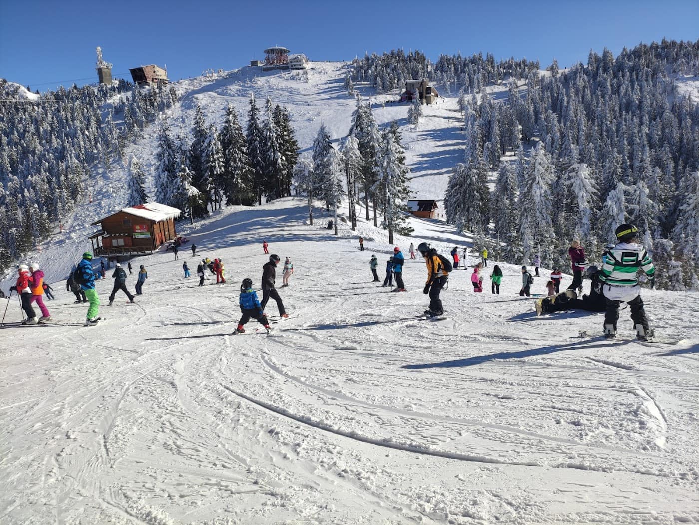 Poiana Brașov
