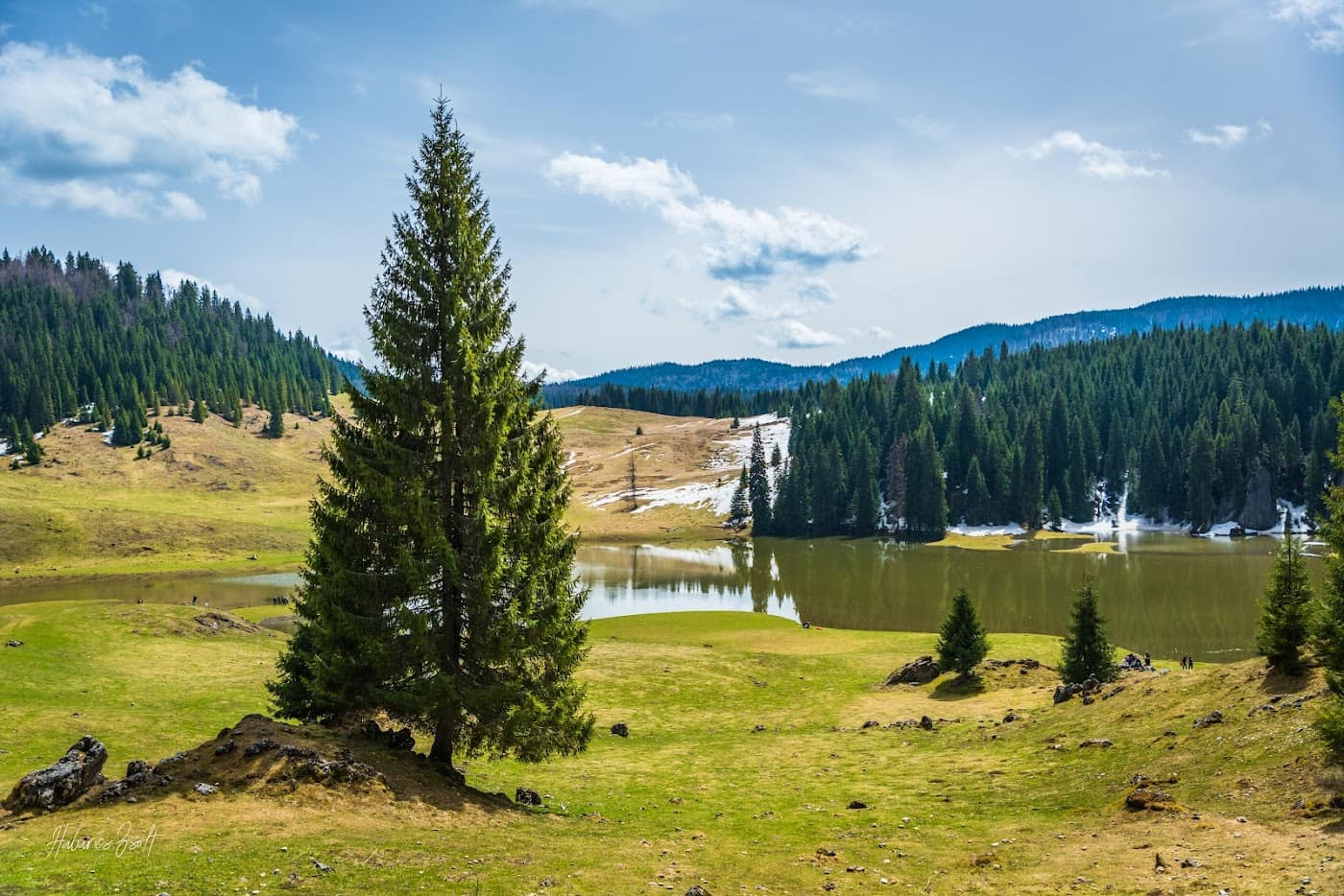 Padiș – Cetățile Ponorului