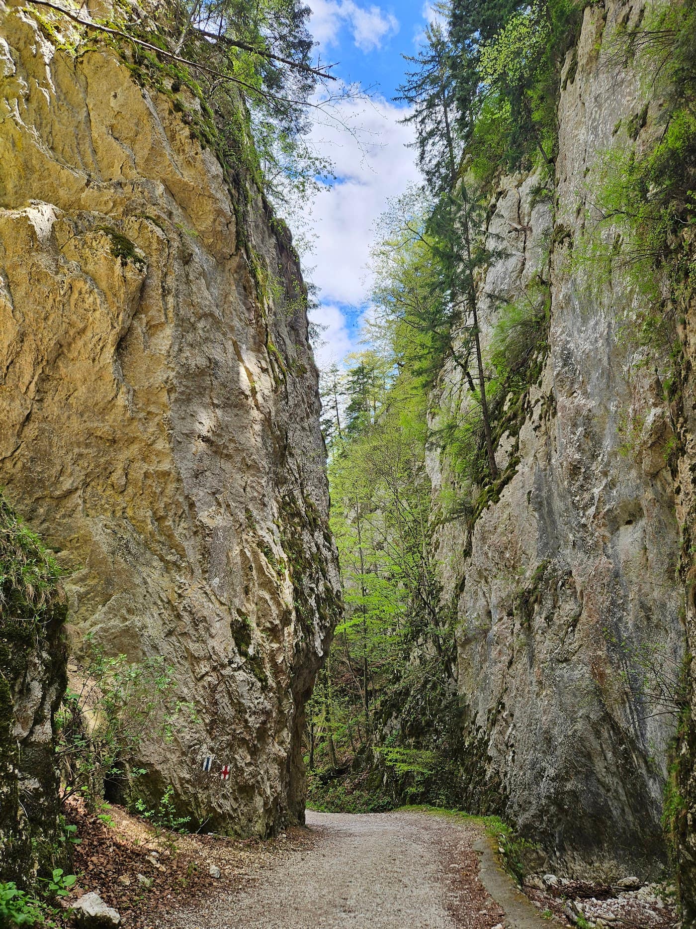 Prăpăstiile Zărneștiului