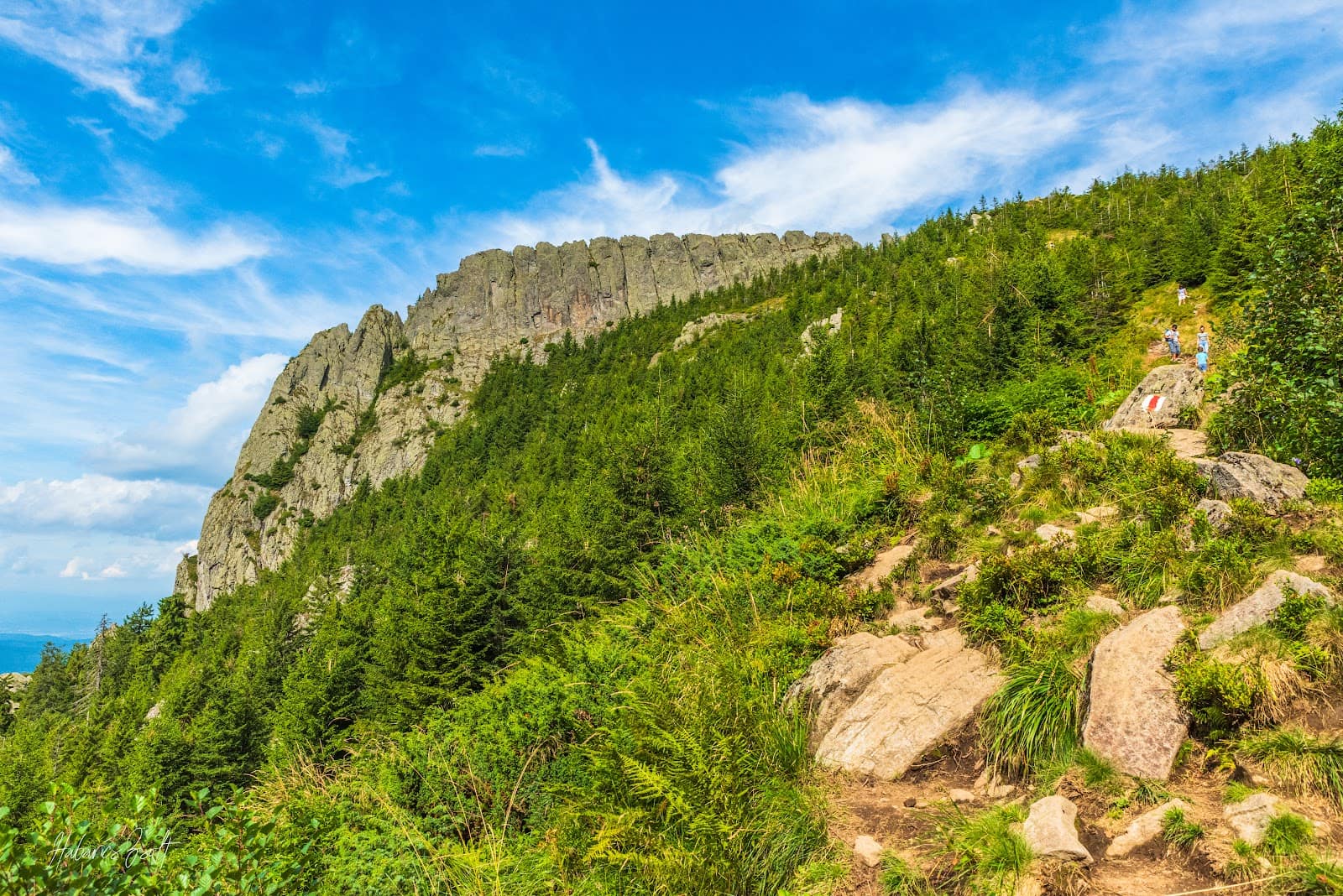Munții Gutâi: Cavnic, Șuior, Izvoare